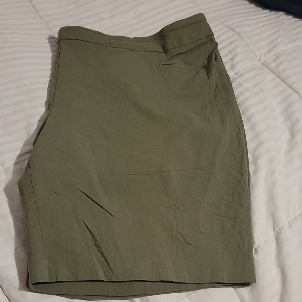 Terra & Sky Olive Shorts